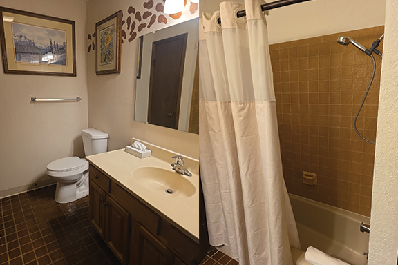 Full Bathroom Picture